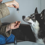 Back on Paws - 2,5% CBD oil for pets (250mg) - H Drop